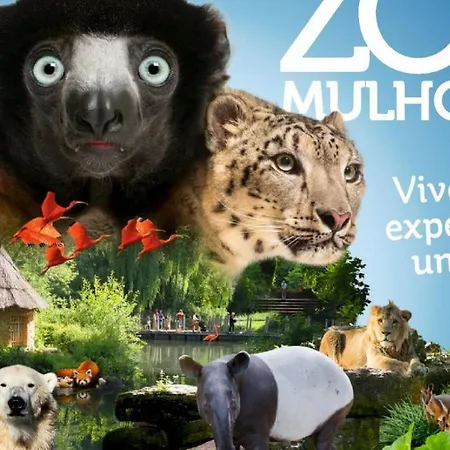 Daire Le Panorama Du Murat Mulhouse 68 Haut-rhin Alsace Saint-louis