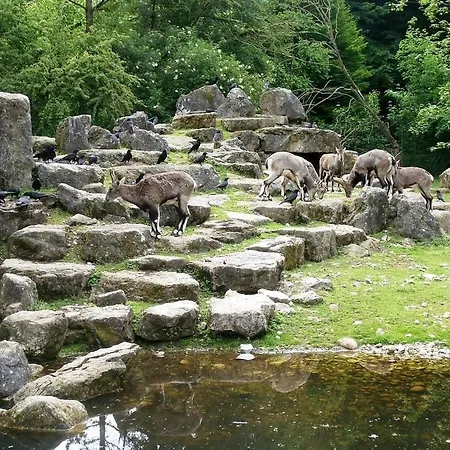 Le Panorama Du Murat Mulhouse 68 Haut-rhin Alsace Saint-louis Daire