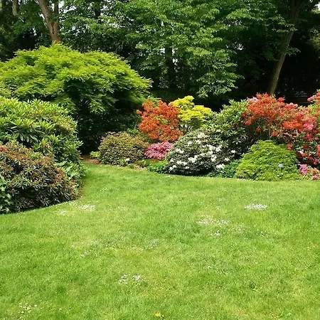 Le Panorama Du Murat Mulhouse 68 Haut-rhin Alsace Saint-louis Daire