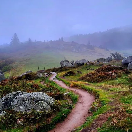Le Panorama Du Murat Mulhouse 68 Haut-rhin Alsace Saint-louis Riedisheim