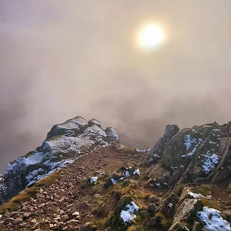 Le Panorama Du Murat Mulhouse 68 Haut-rhin Alsace Saint-louis Riedisheim