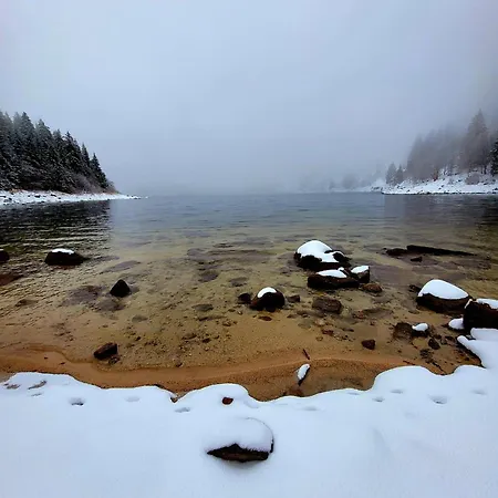 Le Panorama Du Murat Mulhouse 68 Haut-rhin Alsace Saint-louis *