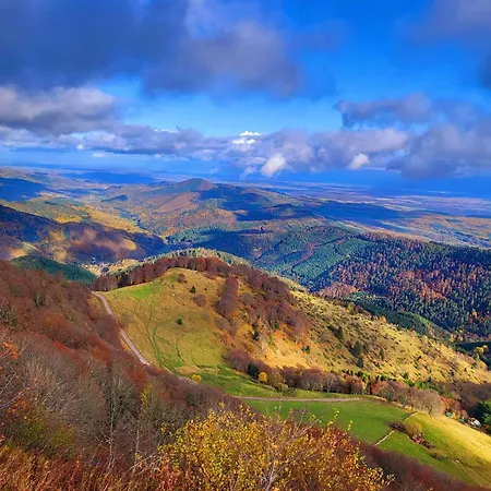 Le Panorama Du Murat Mulhouse 68 Haut-rhin Alsace Saint-louis Riedisheim