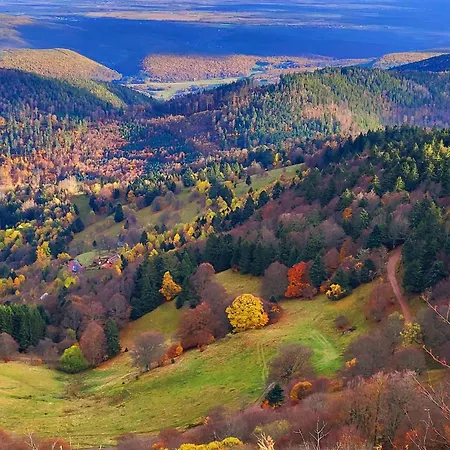 Le Panorama Du Murat Mulhouse 68 Haut-rhin Alsace Saint-louis Daire Riedisheim